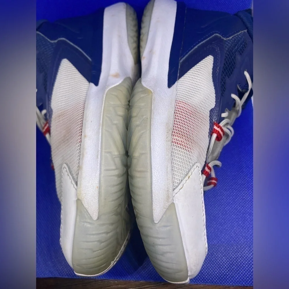 Nike Jordan Zion 1 GS 'USA' DC2024-401 Blue Void White Metallic Gold